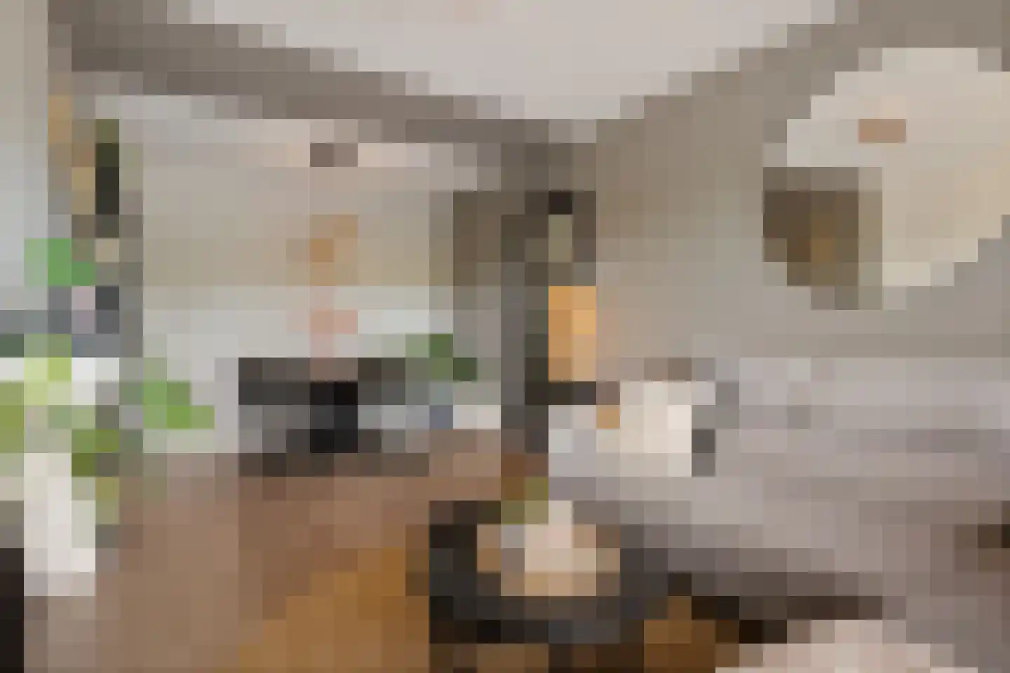 Dr. J. W. Paltelaan 198 Zoetermeer thumbnail 15