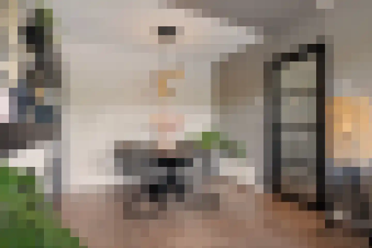 Dr. J. W. Paltelaan 198 Zoetermeer thumbnail 16