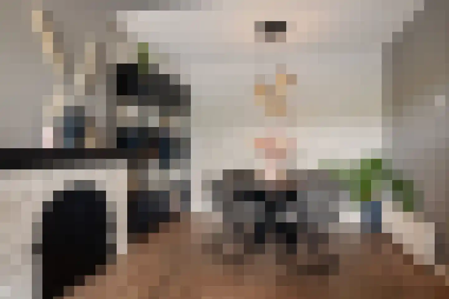 Dr. J. W. Paltelaan 198 Zoetermeer thumbnail 17