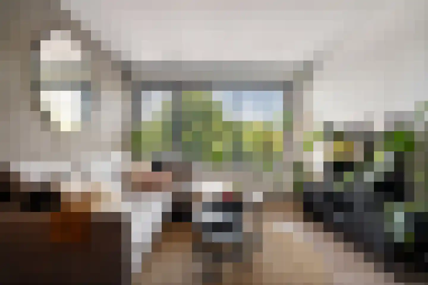 Dr. J. W. Paltelaan 198 Zoetermeer thumbnail 19