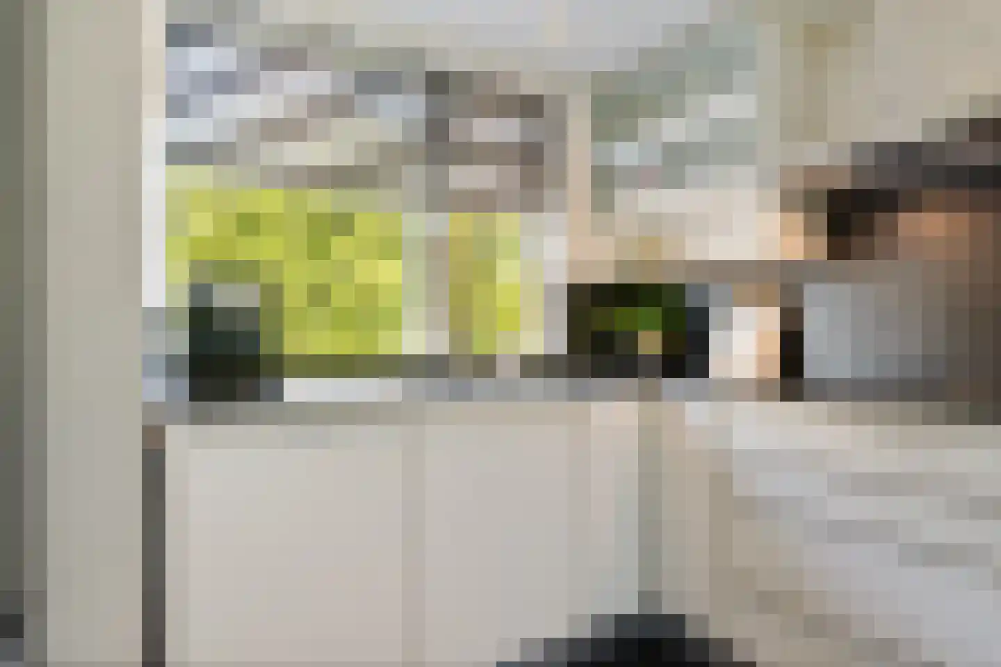Dr. J. W. Paltelaan 198 Zoetermeer thumbnail 22