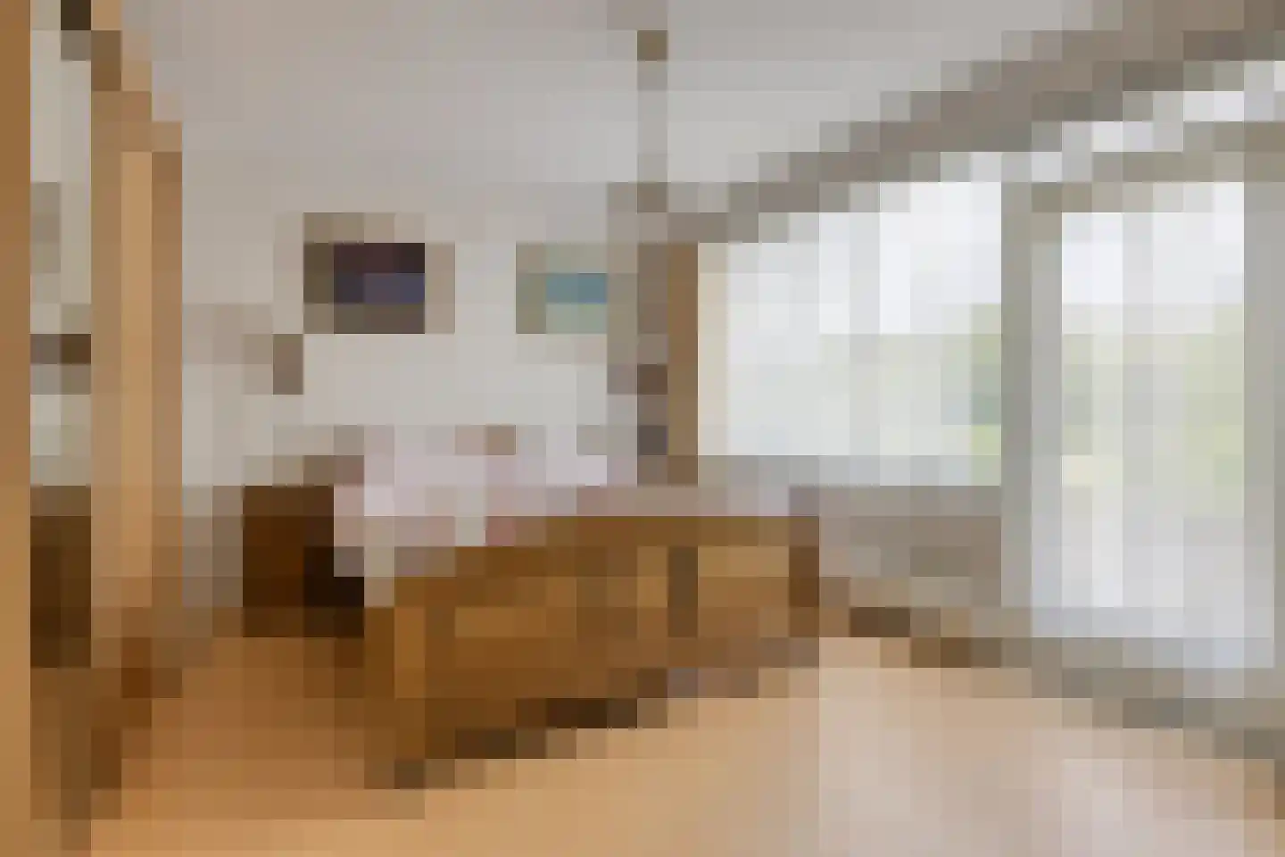 Dr. J. W. Paltelaan 26 Zoetermeer thumbnail 14