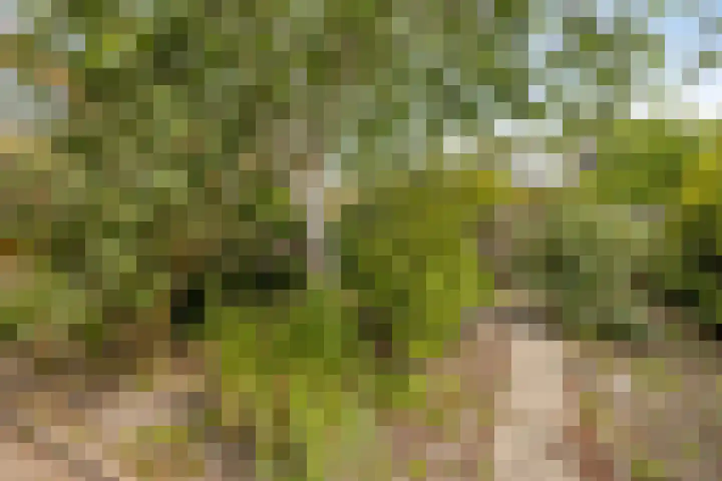 Dr. J. W. Paltelaan 26 Zoetermeer thumbnail 30
