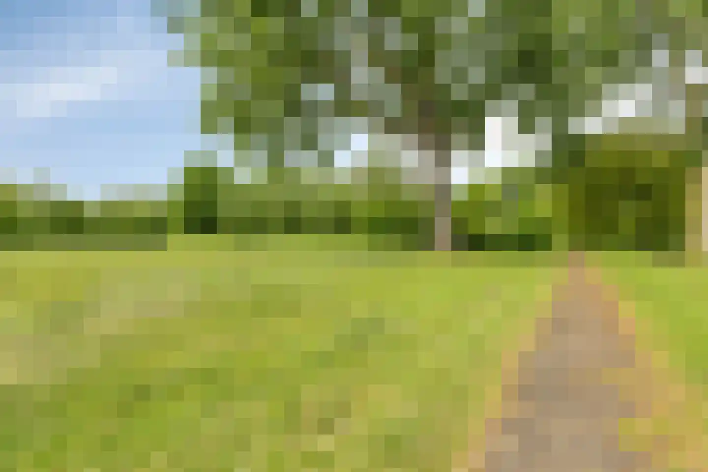 Dr. J. W. Paltelaan 26 Zoetermeer thumbnail 36