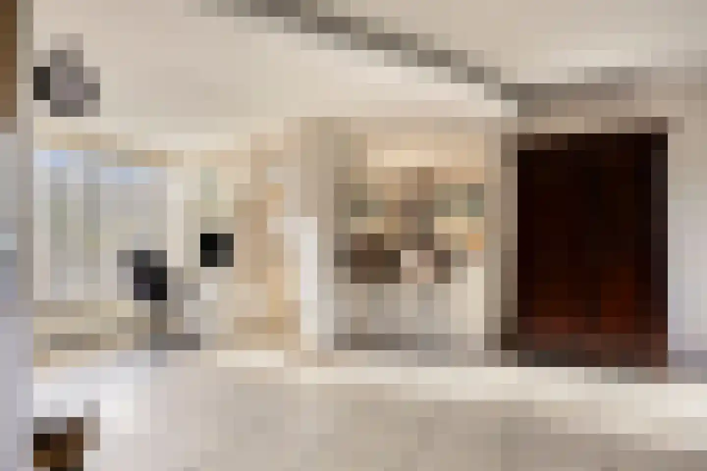 Dr. J. W. Paltelaan 36 Zoetermeer thumbnail 20