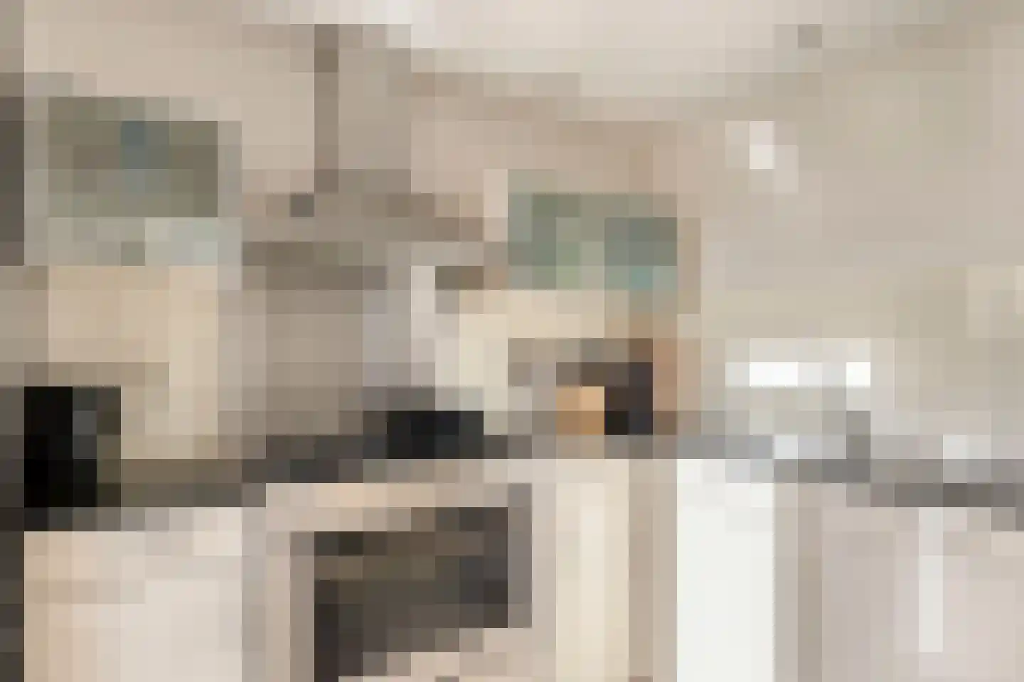 Dr. J. W. Paltelaan 36 Zoetermeer thumbnail 23