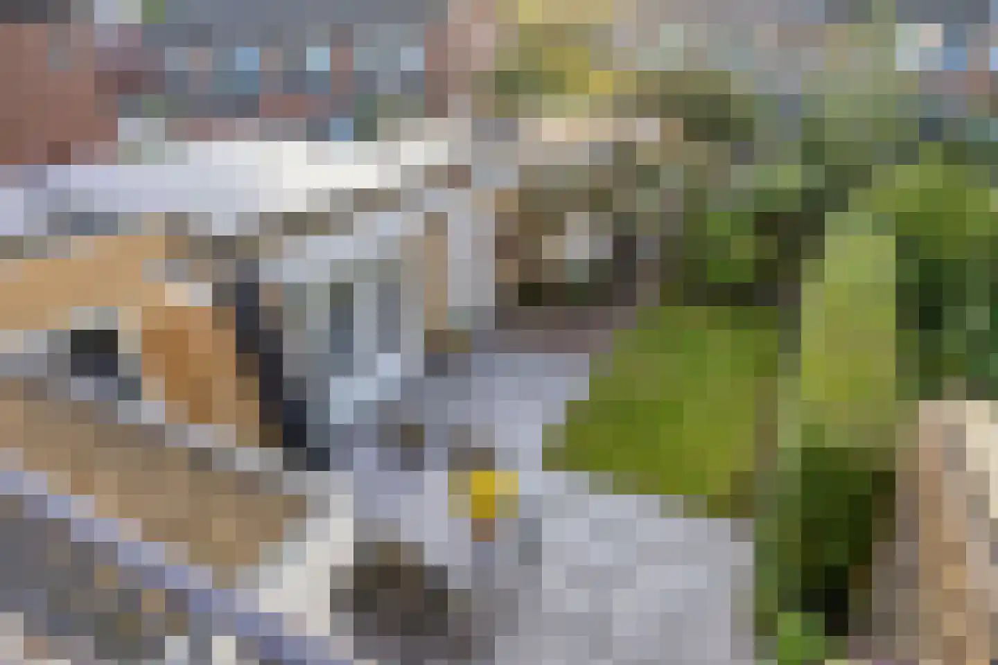 Dr. J. W. Paltelaan 36 Zoetermeer thumbnail 34