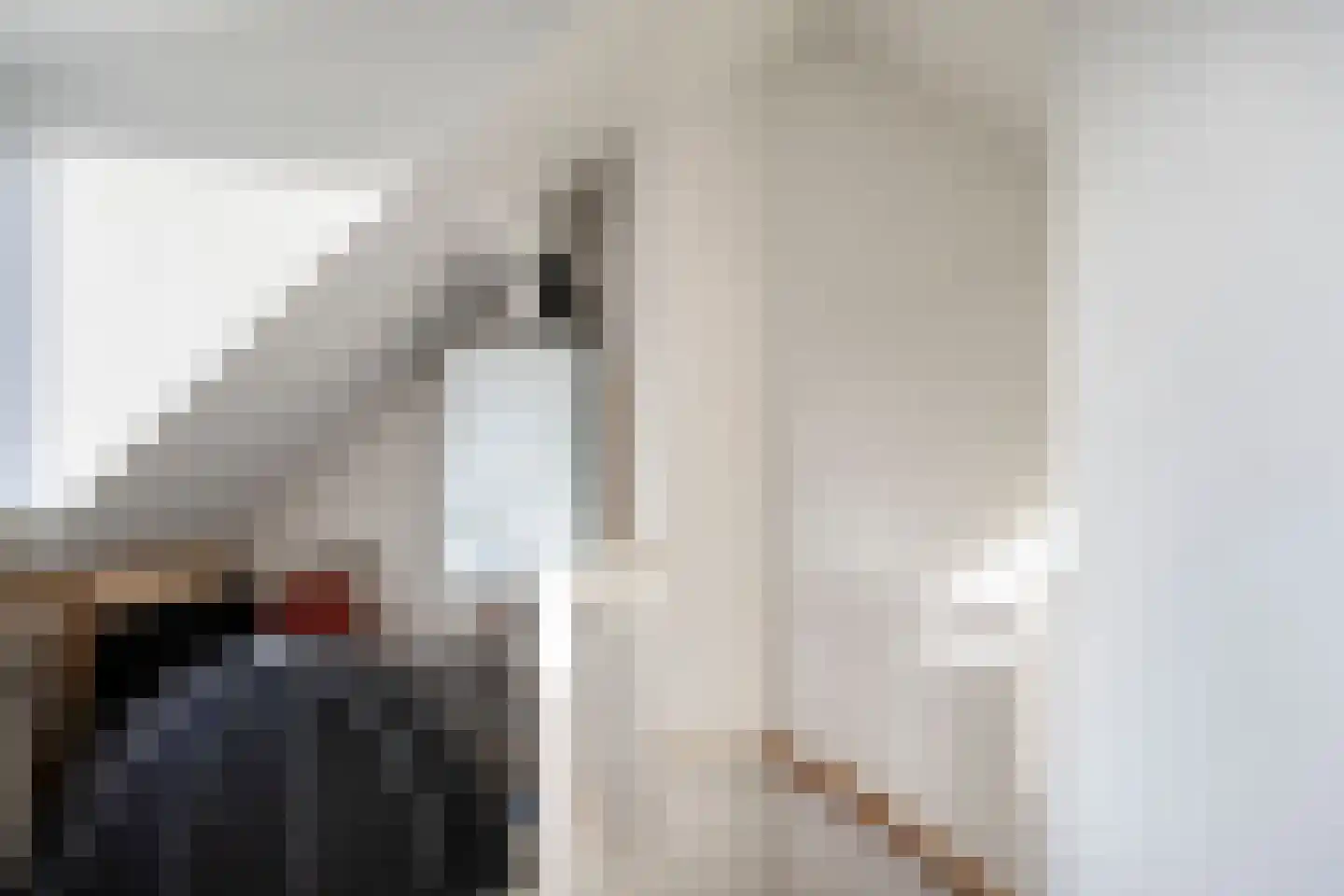 Dr. J. W. Paltelaan 36 Zoetermeer thumbnail 43