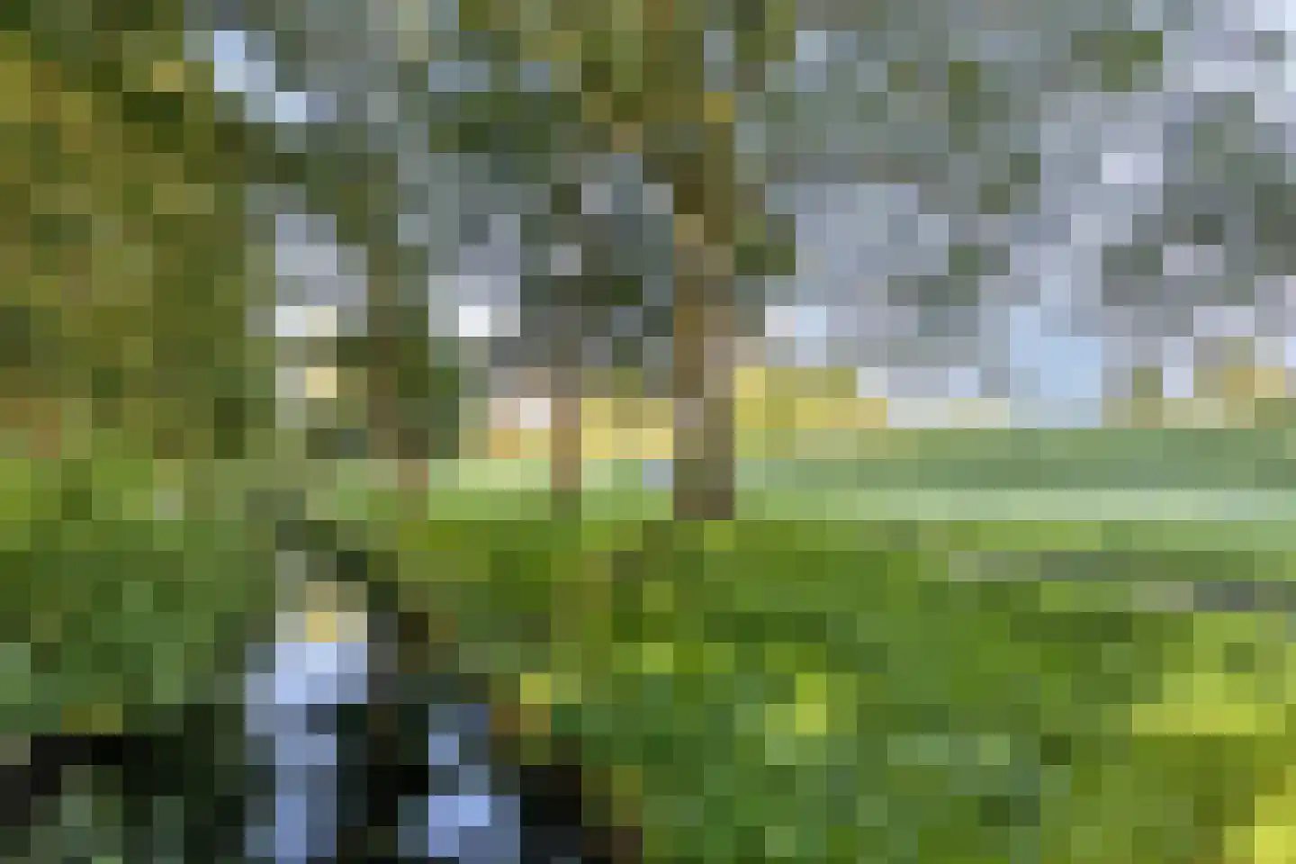 Dr. J. W. Paltelaan 36 Zoetermeer thumbnail 60