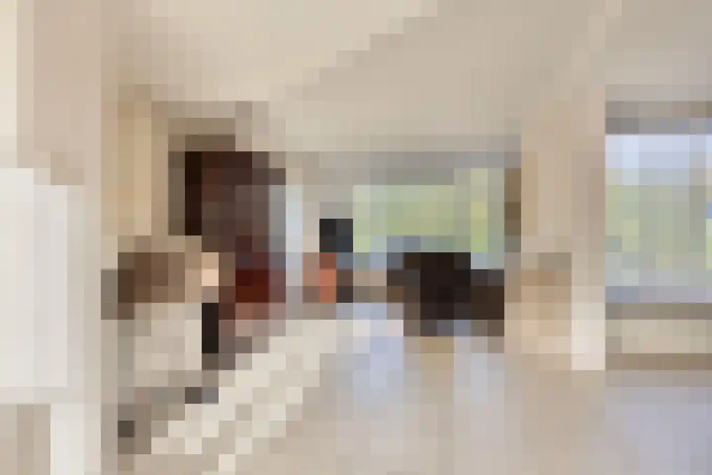 Dr. J. W. Paltelaan 36 Zoetermeer thumbnail 7