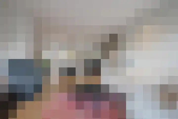 Dr. J. W. Paltelaan 40 Zoetermeer thumbnail 12