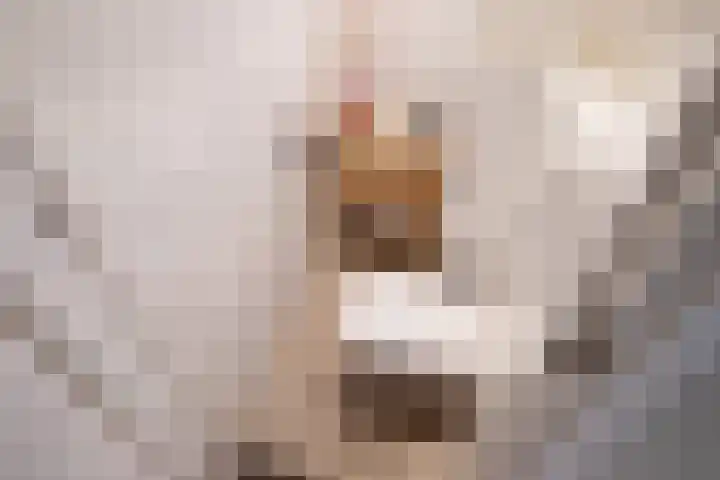 Dr. J. W. Paltelaan 40 Zoetermeer thumbnail 25