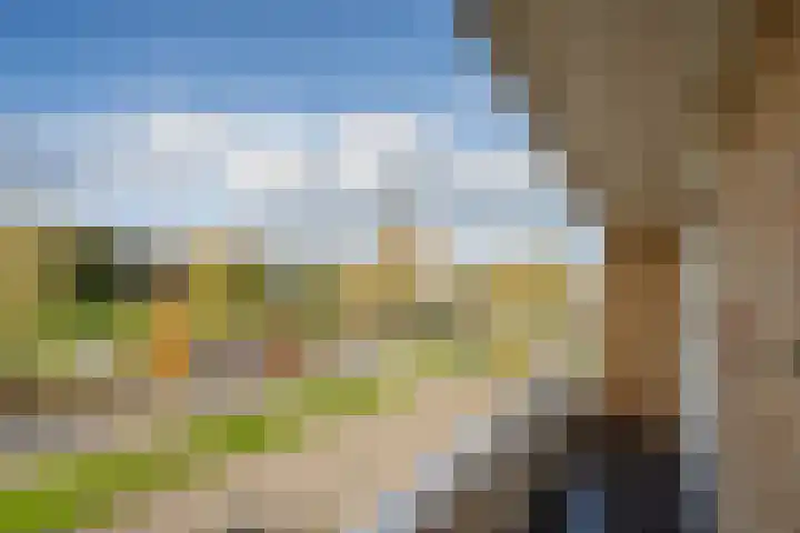 Dr. J. W. Paltelaan 40 Zoetermeer thumbnail 30