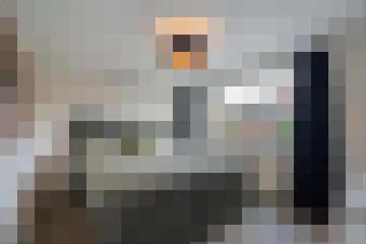 Dr. J. W. Paltelaan 40 Zoetermeer thumbnail 31