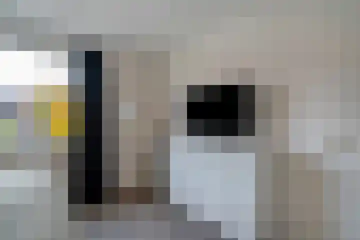 Dr. J. W. Paltelaan 40 Zoetermeer thumbnail 32