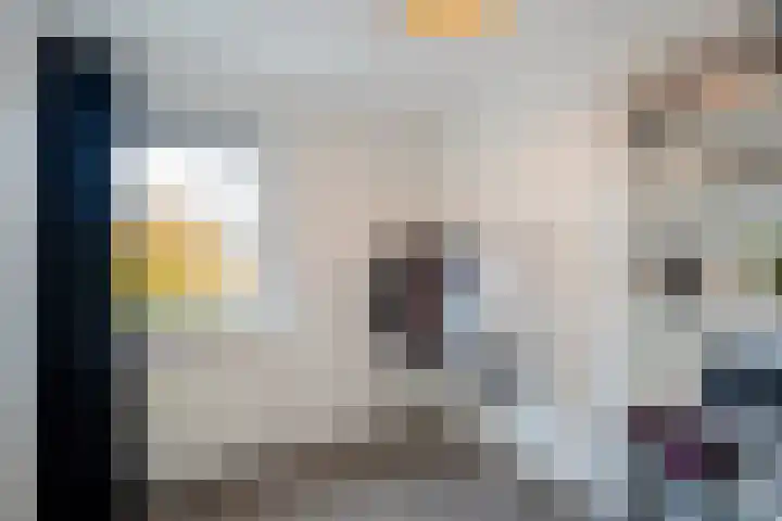 Dr. J. W. Paltelaan 40 Zoetermeer thumbnail 33