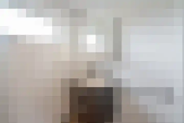 Dr. J. W. Paltelaan 40 Zoetermeer thumbnail 35