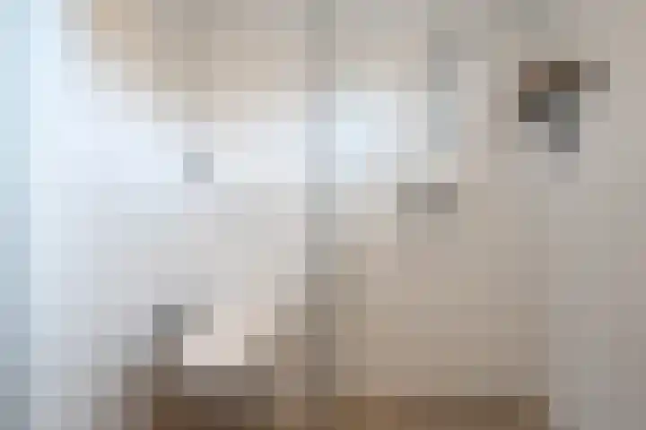 Dr. J. W. Paltelaan 40 Zoetermeer thumbnail 36