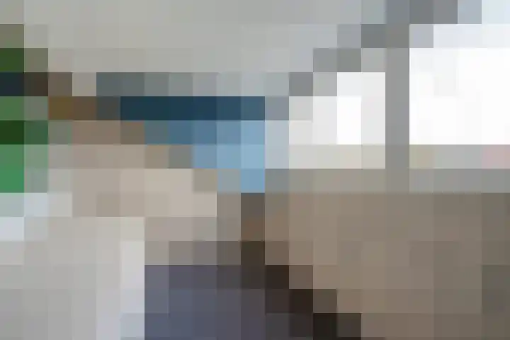 Dr. J. W. Paltelaan 40 Zoetermeer thumbnail 38