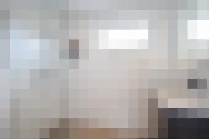 Dr. J. W. Paltelaan 40 Zoetermeer thumbnail 4