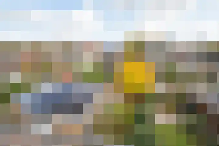 Dr. J. W. Paltelaan 40 Zoetermeer thumbnail 40