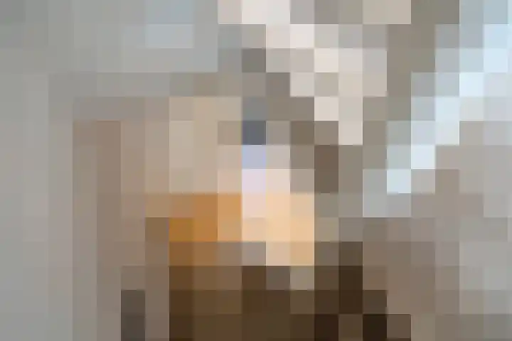 Dr. J. W. Paltelaan 40 Zoetermeer thumbnail 44