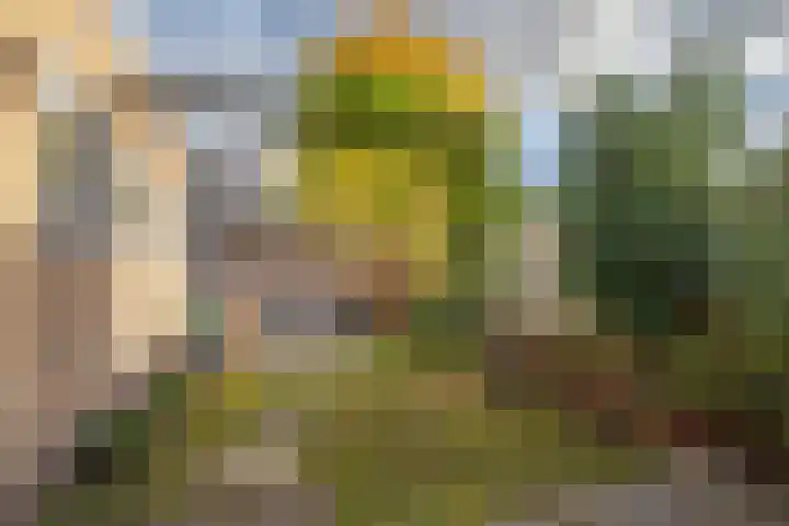Dr. J. W. Paltelaan 40 Zoetermeer thumbnail 46