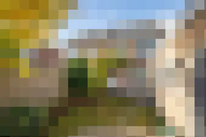Dr. J. W. Paltelaan 40 Zoetermeer thumbnail 48