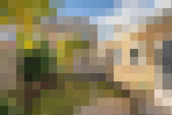 Dr. J. W. Paltelaan 40 Zoetermeer thumbnail 49