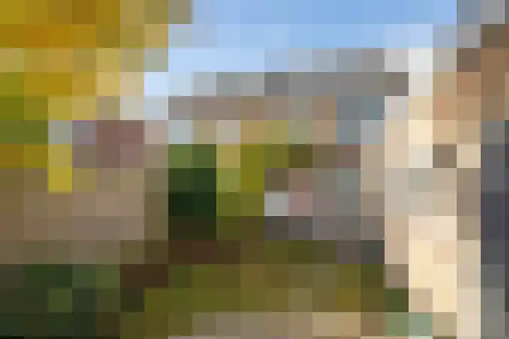 Dr. J. W. Paltelaan 40 Zoetermeer thumbnail 5
