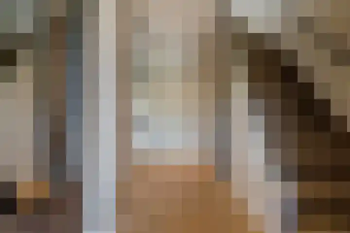 Dr. J. W. Paltelaan 40 Zoetermeer thumbnail 7