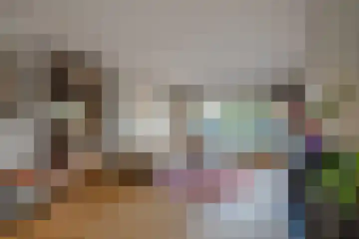 Dr. J. W. Paltelaan 40 Zoetermeer thumbnail 9