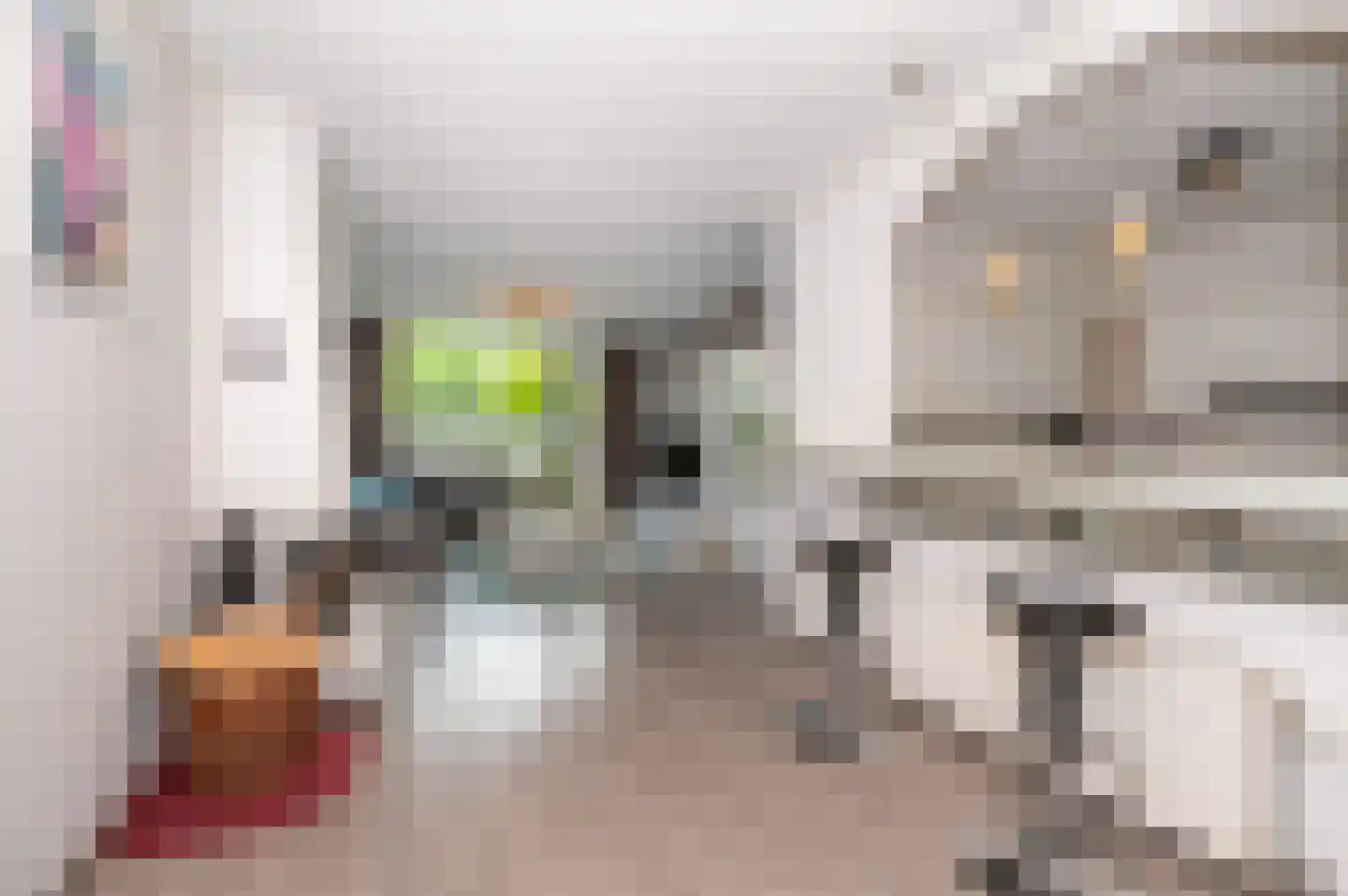 Dr. J. W. Paltelaan 62 Zoetermeer thumbnail 6