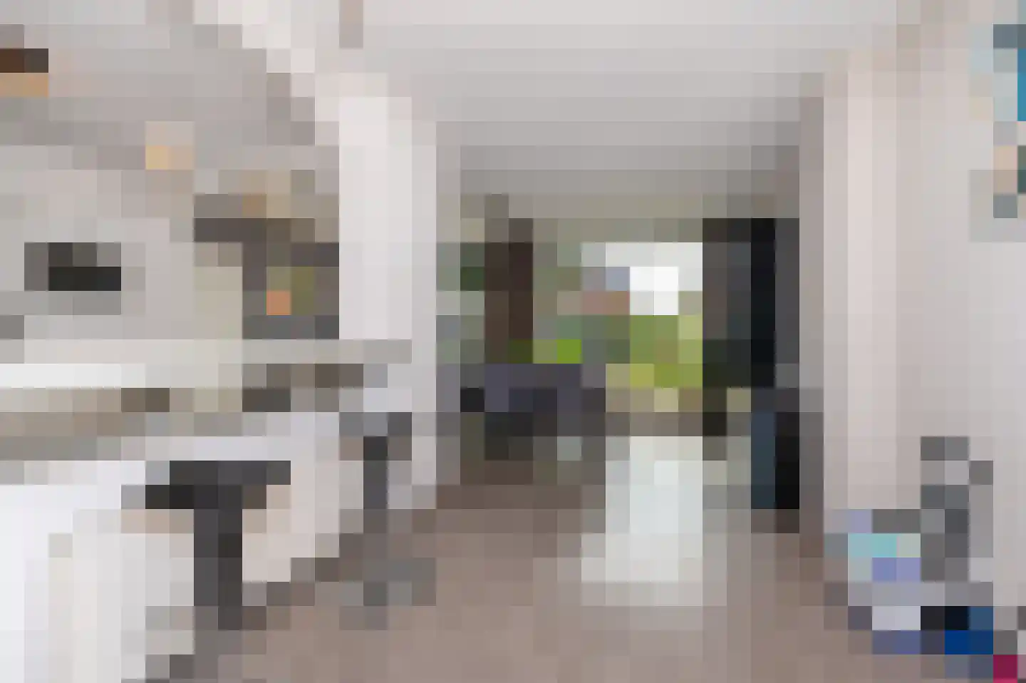 Dr. J. W. Paltelaan 62 Zoetermeer thumbnail 7
