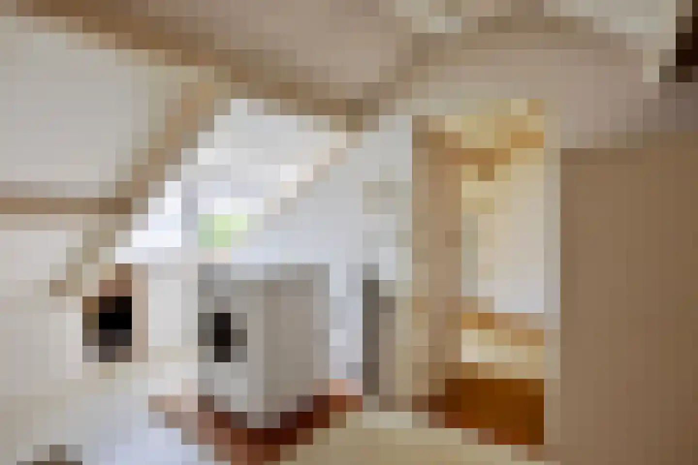 Dr. J. W. Paltelaan 70 Zoetermeer thumbnail 29