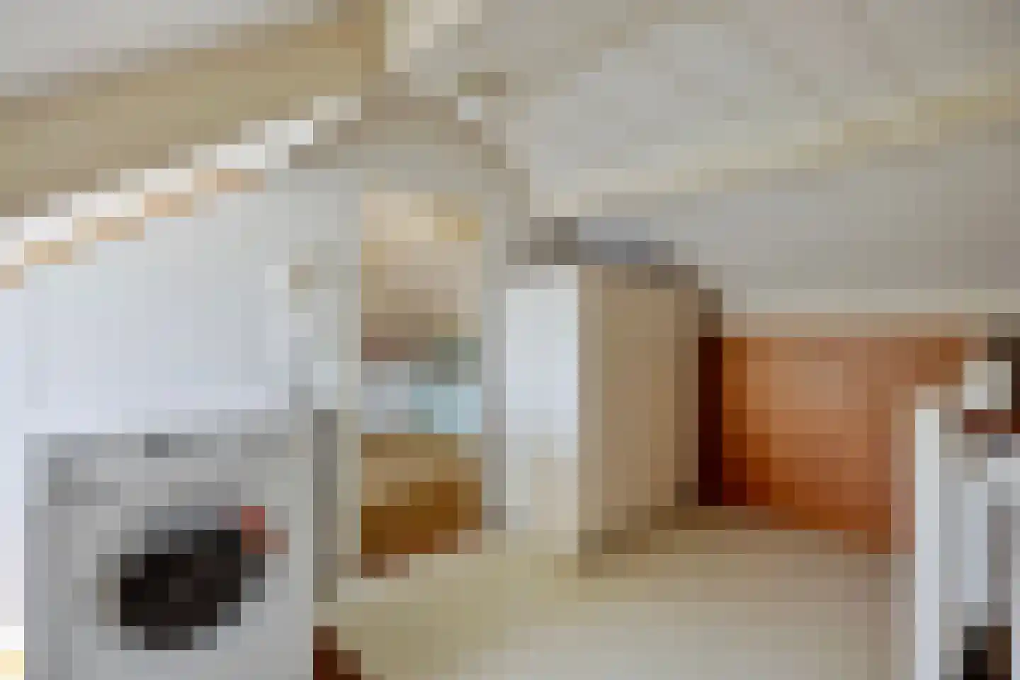 Dr. J. W. Paltelaan 70 Zoetermeer thumbnail 30
