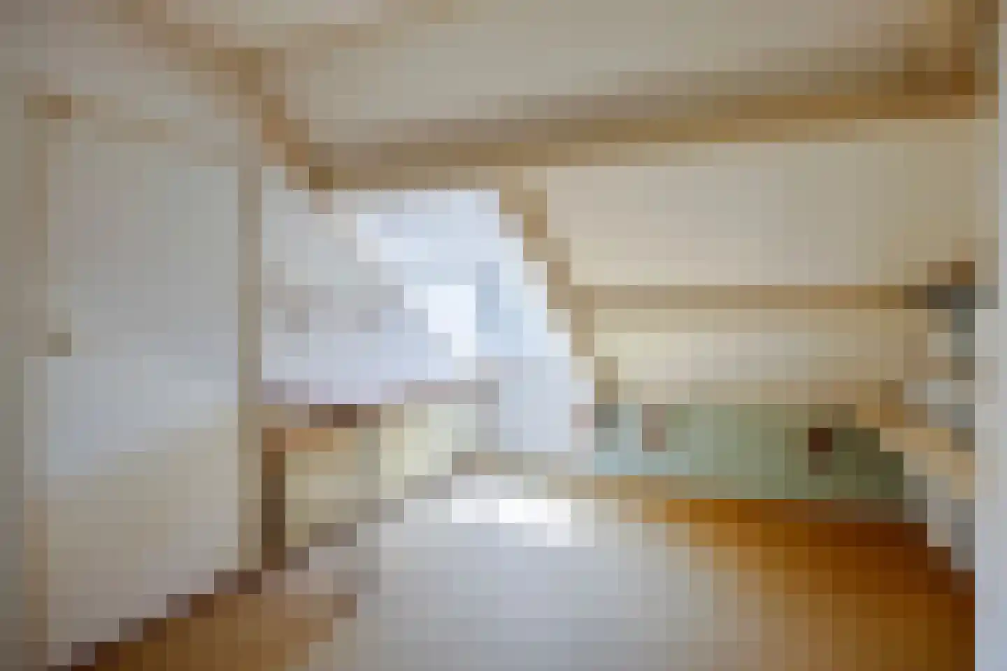 Dr. J. W. Paltelaan 70 Zoetermeer thumbnail 33