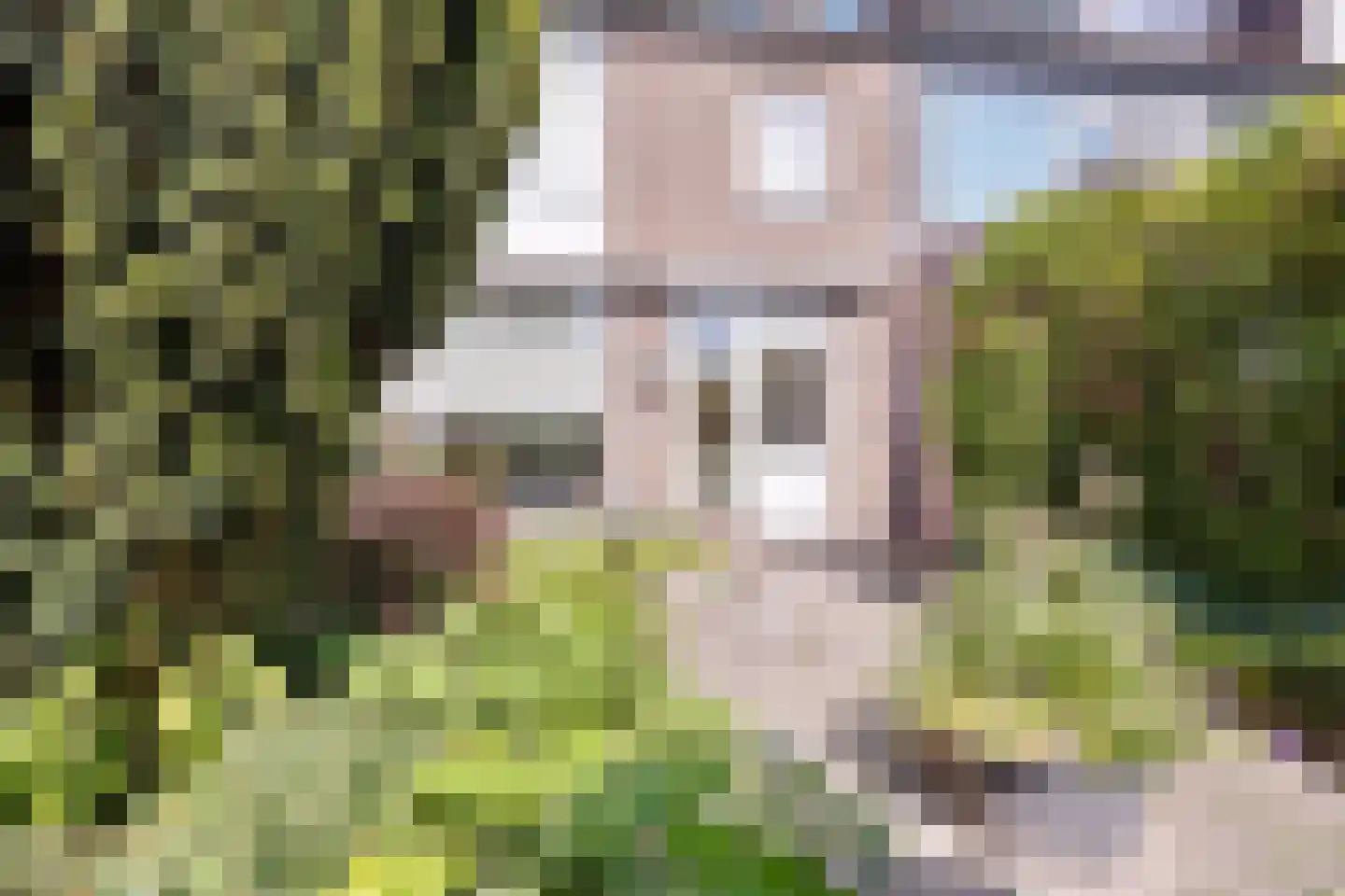 Dr. J. W. Paltelaan 70 Zoetermeer thumbnail 34