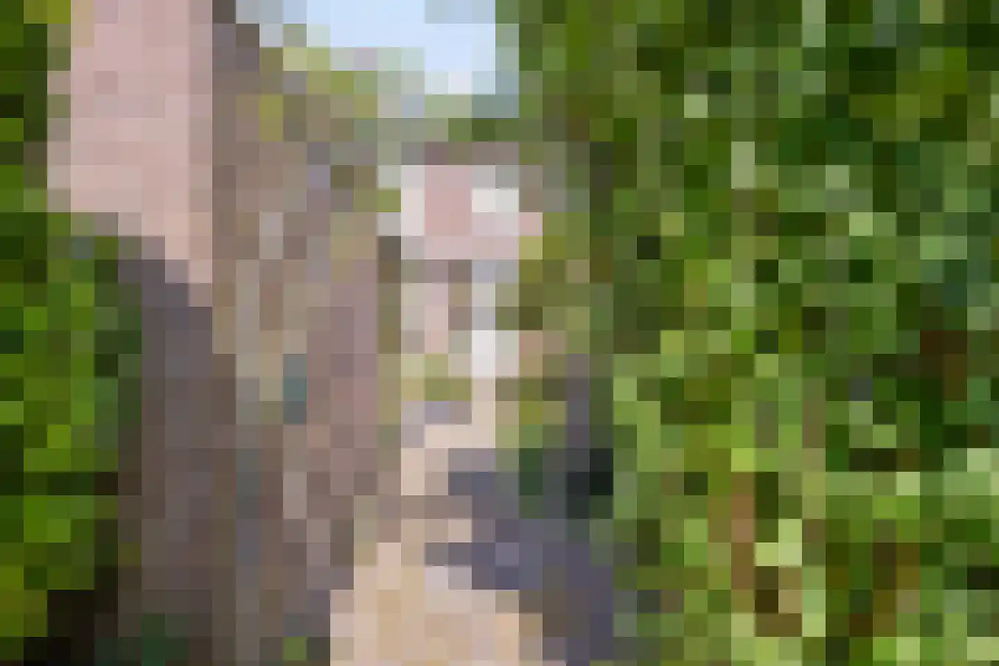 Dr. J. W. Paltelaan 70 Zoetermeer thumbnail 35