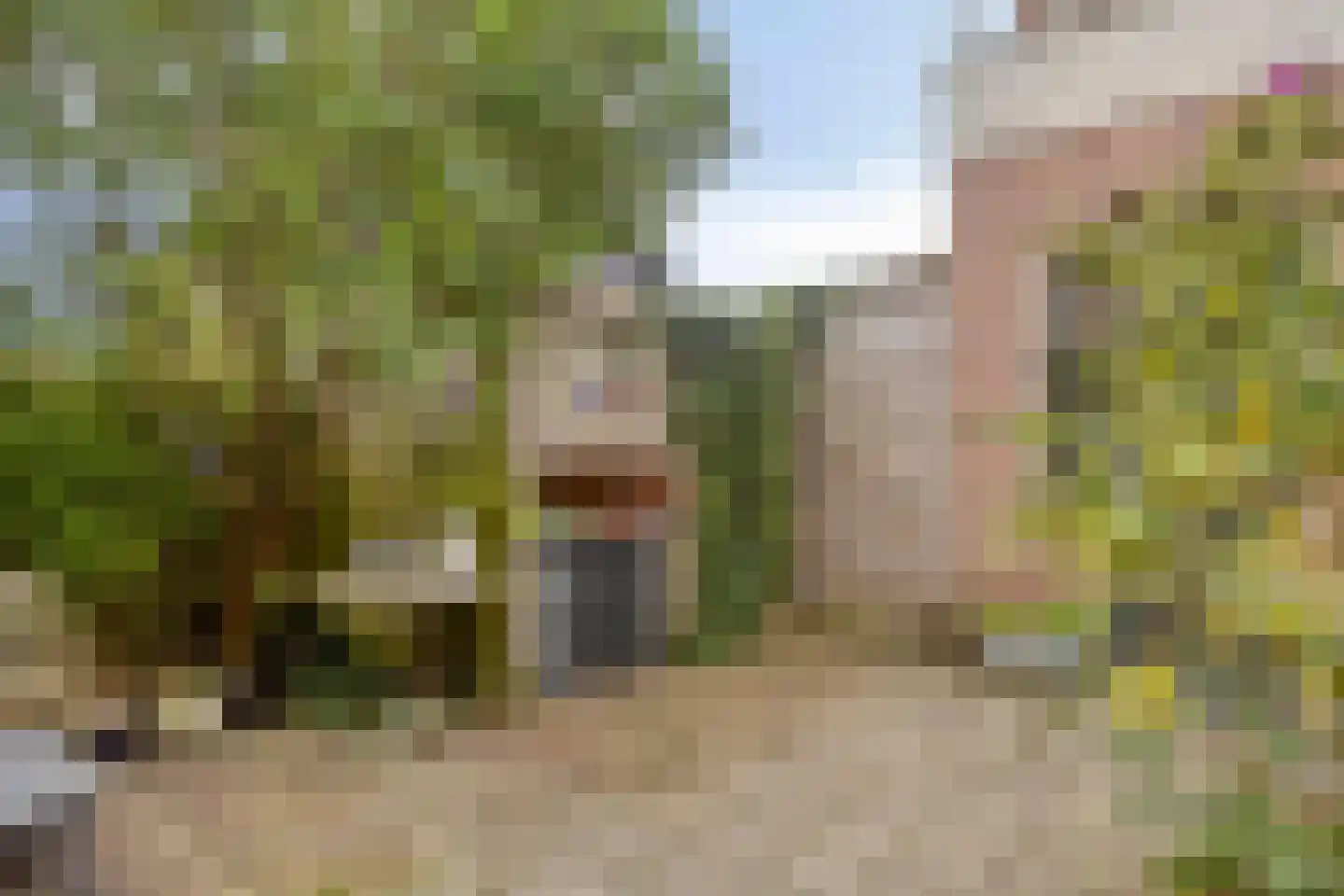 Dr. Jacobilaan 3 Castricum thumbnail 11