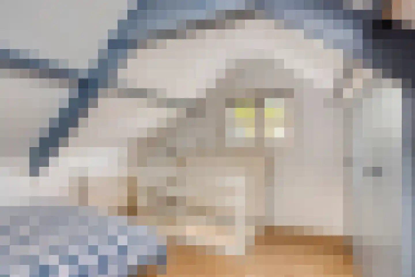 Dr. Jacobilaan 3 Castricum thumbnail 35