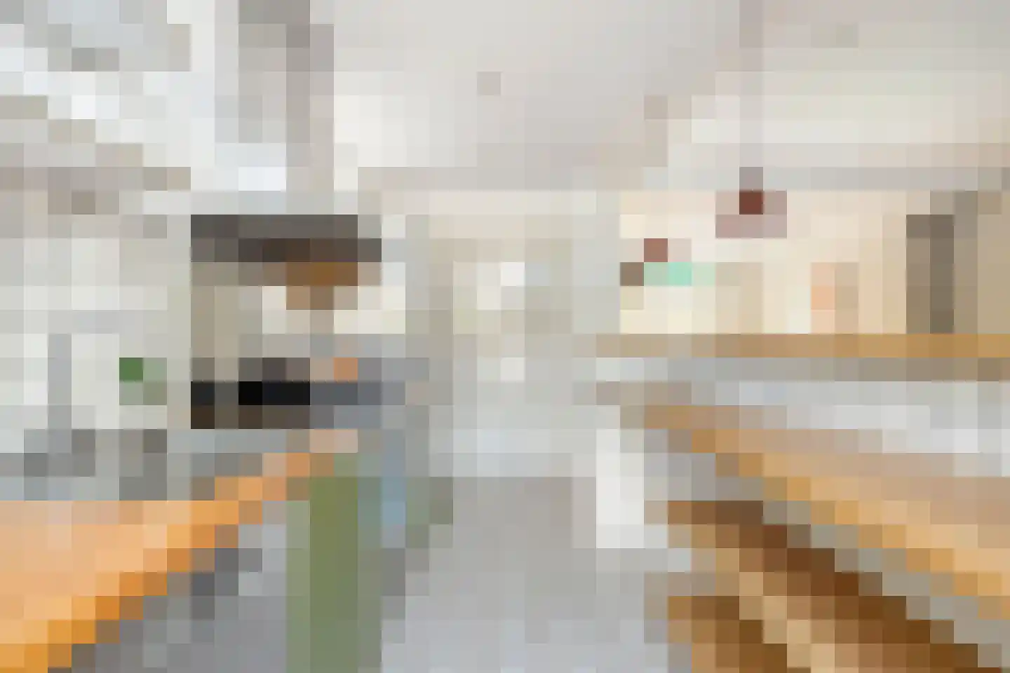 Dr. Jacobilaan 3 Castricum thumbnail 8