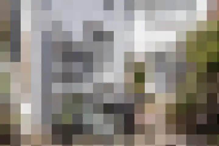 Dr. Jaegersstraat 50 Heerlen thumbnail 4
