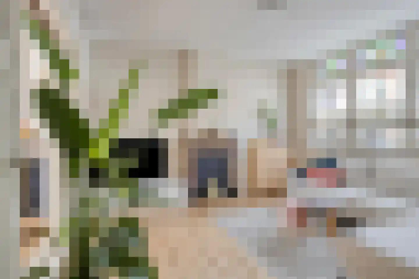 Dr. Jaegersstraat 56 Heerlen thumbnail 6