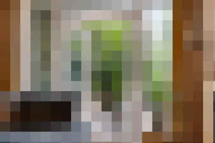 Dr. Jan Berendsstraat 1 Nijmegen thumbnail 6