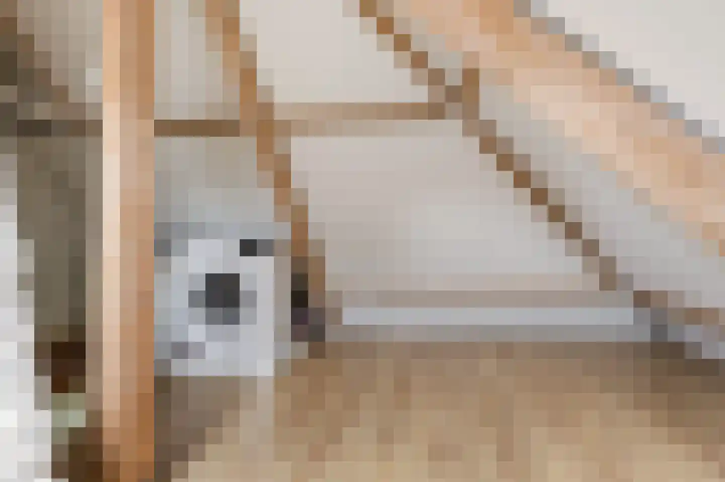 Dr. Jan Mulderstraat 2 Zaandijk thumbnail 20