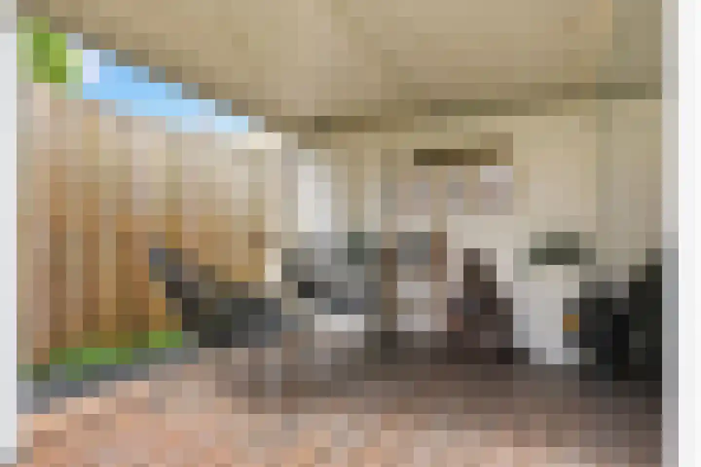 Dr. Jan Mulderstraat 2 Zaandijk thumbnail 25