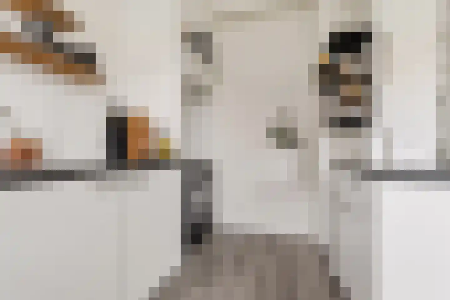 Dr. Jan Mulderstraat 2 Zaandijk thumbnail 9