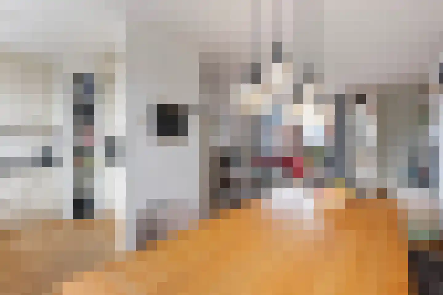 Dr. Jan Schoutenlaan 12 Maassluis thumbnail 18