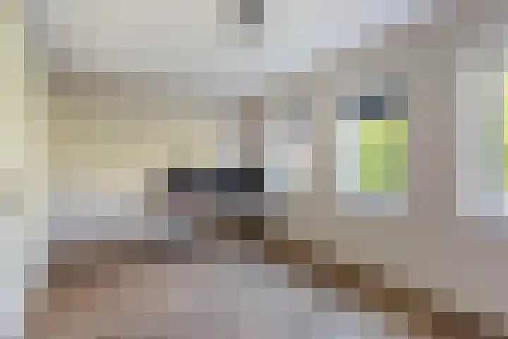 Dr. Jan Schoutenlaan 260 Maassluis thumbnail 43